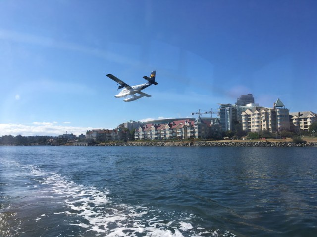 •e-IMG_2253-plane landing