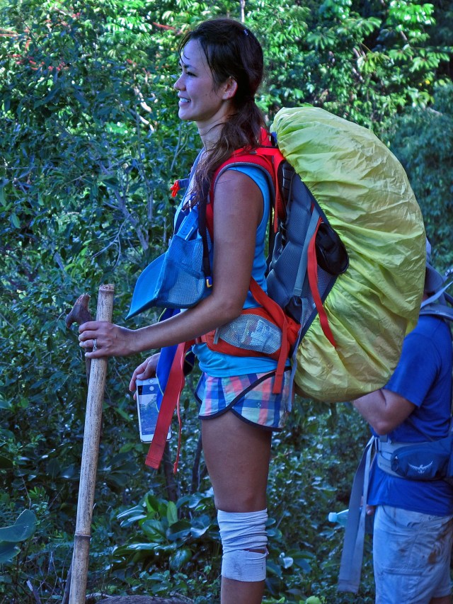 e-4235 walking stick1cr