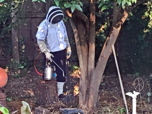 3303 beeguy at the siteCRh