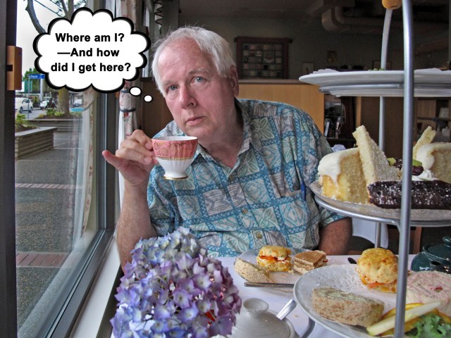 7111 rds white heatherTXT(2017)