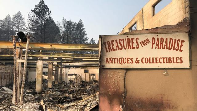 Allen Young-The Daily Beast-camp-fire