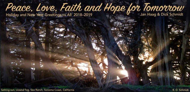 HolidayNewYear-SchmidtHaag2018