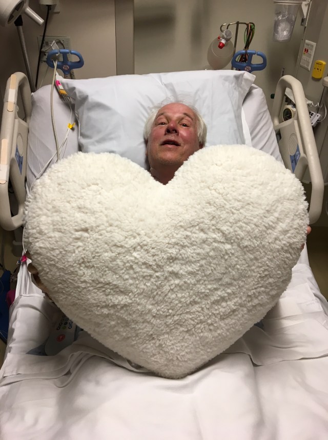 rds heart pillow