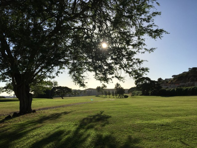 •e-img_5632-sun tree golf