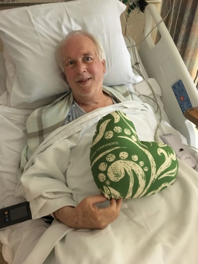 •e-img_6200-heart pillow