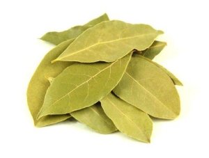 bay leaf