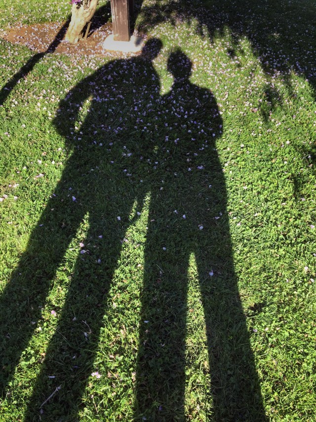 e-RDS JLH shadow-7182 redo