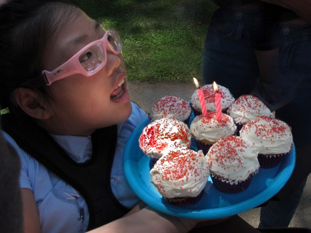 Annie cupcakes-0998cr