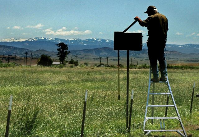 Dr Steve Simmons ladder