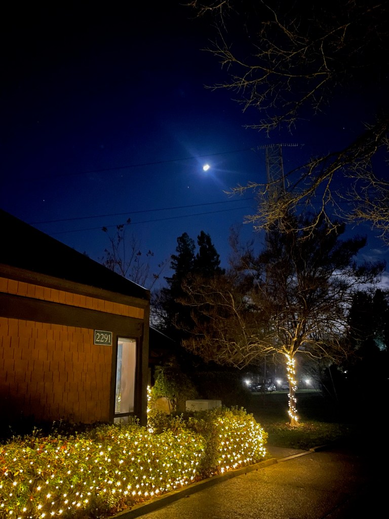 At last, a clear night | Güd wrtr, image size:768x1024